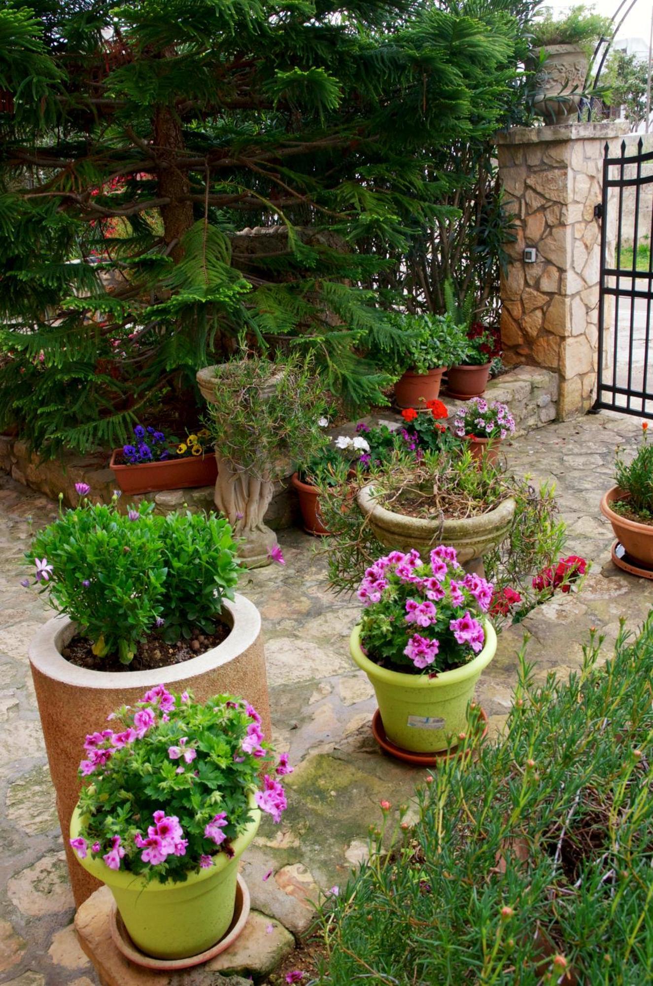 A Casa Di Katia Salento Daire Presicce Dış mekan fotoğraf