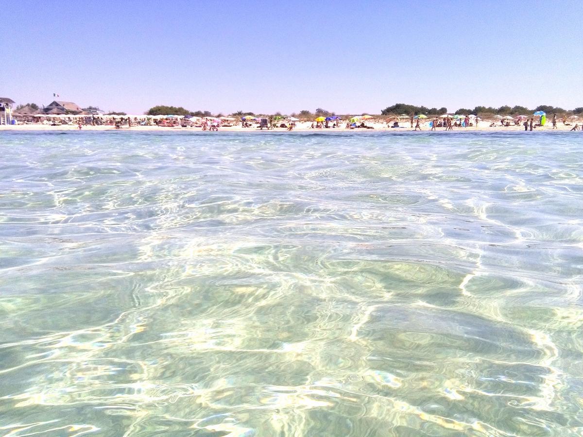 A Casa Di Katia Salento Daire Presicce Dış mekan fotoğraf